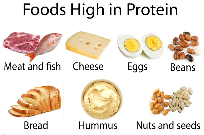 High-protein-foods