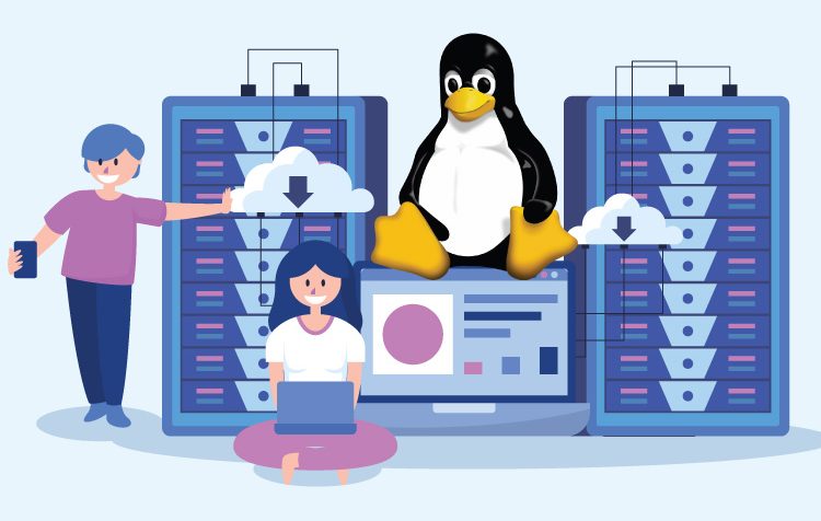 Everything You Should Know About Economy Linux Hosting With cPanel