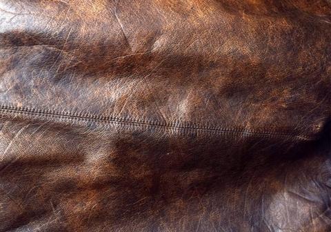 Capybara leather – The Ultimate Guide