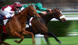 4 Crucial Horse Betting Tips You Should Know as Beginner