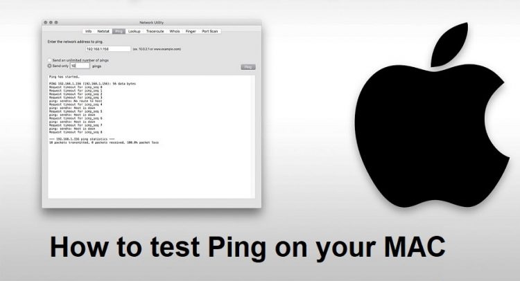 How to Ping on Mac