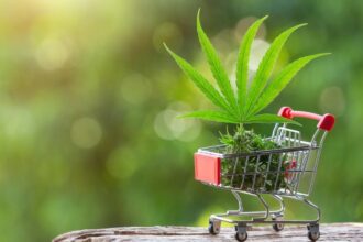 How to Build and Grow a CBD Business