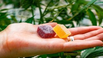 Can Delta 8 Gummies Help You Lose Weight?