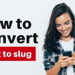 What is slug: Create the best slug for the topic