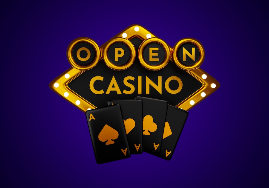 Guide To Casinos In India