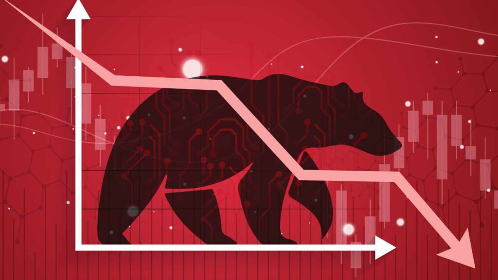 Crypto Bear Market