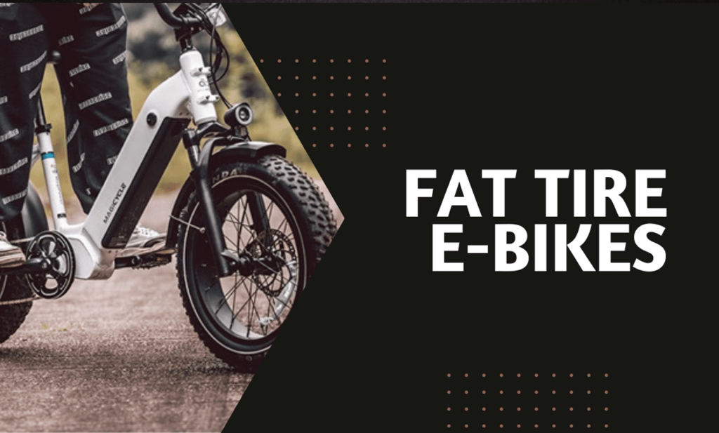 FAT Tire Magicycle Electric Bikes