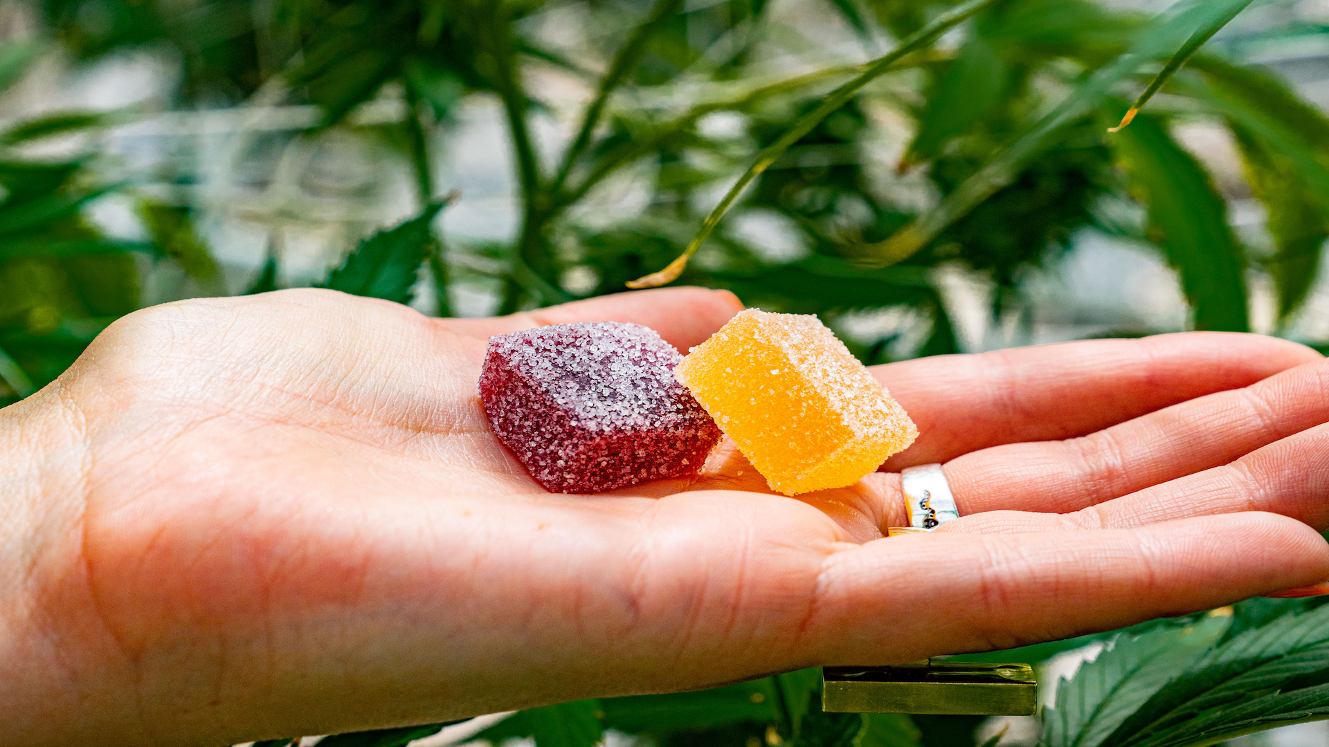 How SEO Can Boost Sales Of Delta-8 Gummies