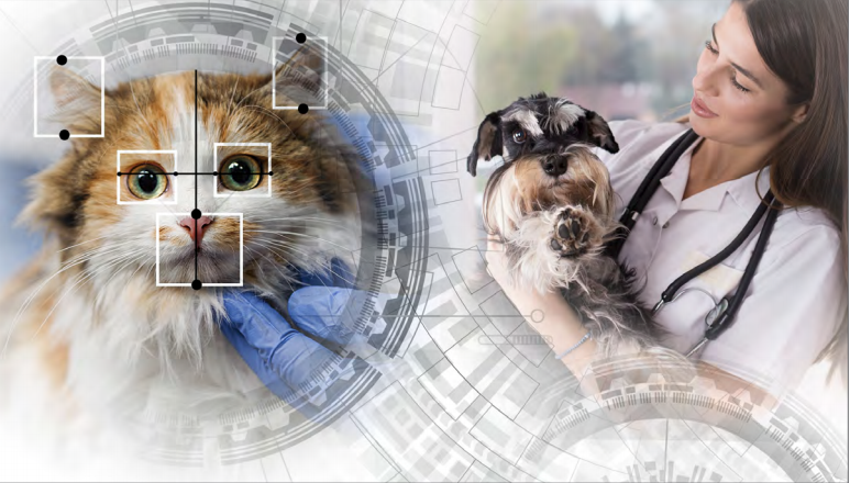 4 Veterinary Medicine Technology Changing Pet Lives for the Better