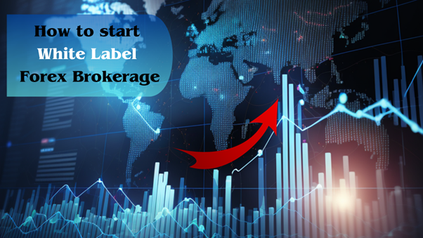 How to start White Label Forex Brokerage: Step-by-Step Guide  