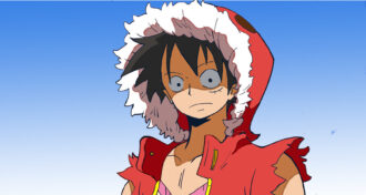 Luffy Pfp: The Best Profile Pictures Of the One Piece Protagonis