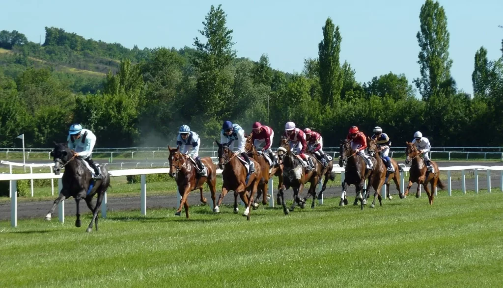 Bets at Indian Horse Racing Tracks