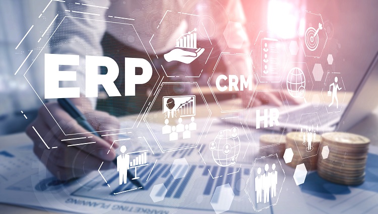 CRM Software and ERP Systems