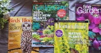 Green Thumbs: The Best Paid Gardening Magazine Subscriptions