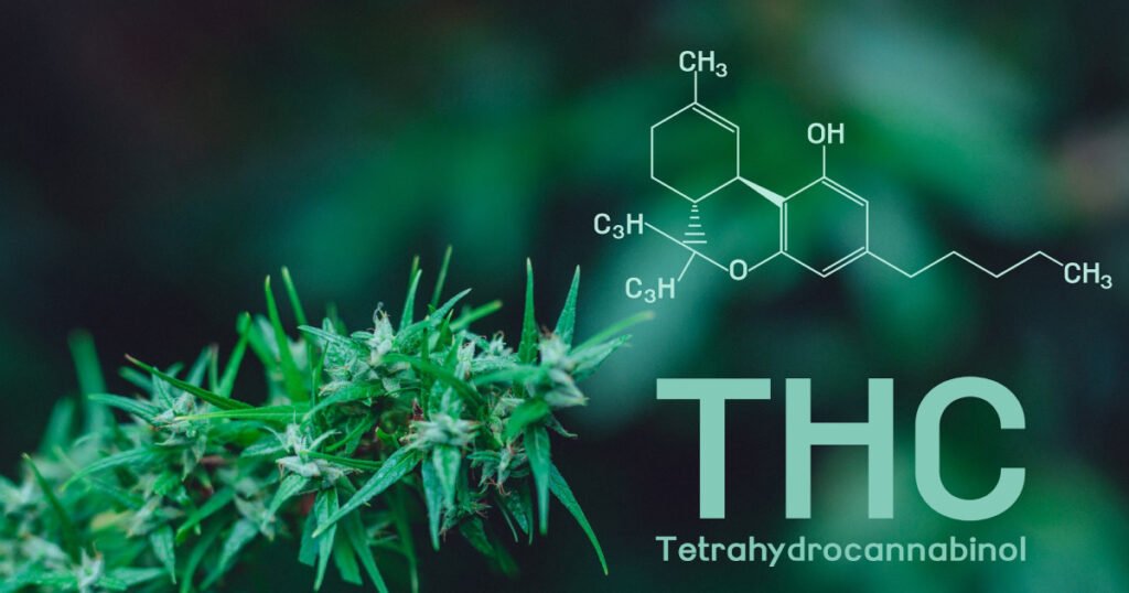 Delta 9-Tetrahydrocannabinol (THC)