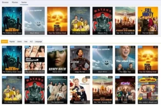 What Is Goojara, Brief and Alternatives!