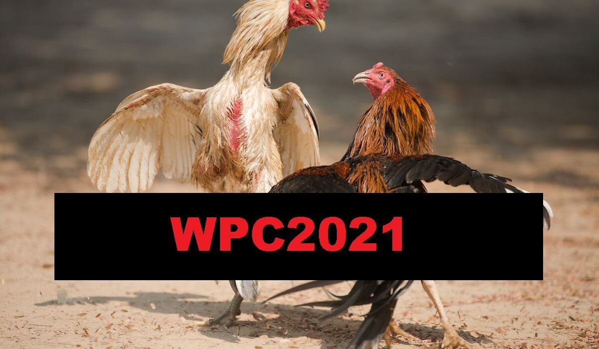 The Live Dashboard For WPC2021