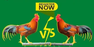 How To Access Wpc2021 Dashboard