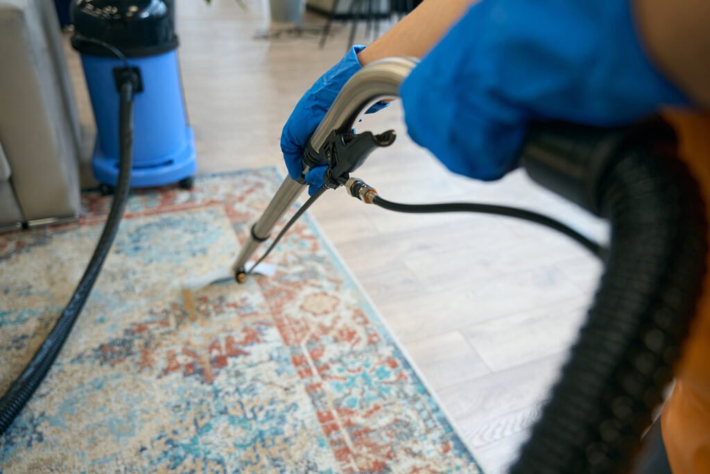 Professional Carpet Cleaning