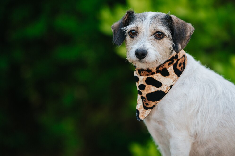 Bandanas with Specific Breeds