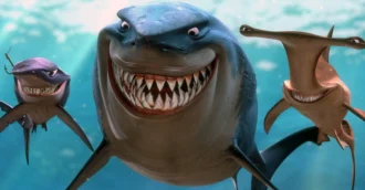 Best Shark Movies