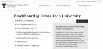 Everything To Know About  TTU Blackboard