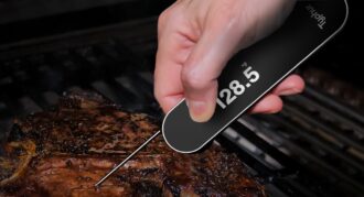 Typhur InstaProbe Meat Thermometer: 0.5s Reading Speed Tested