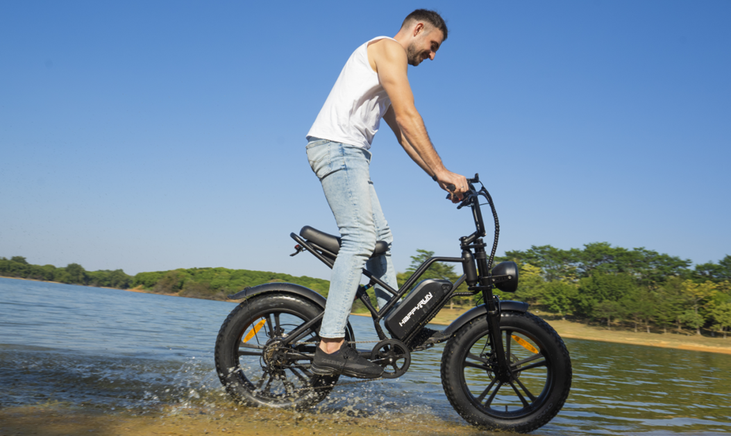 E bike: comparing experiences driving pleasure and travel needs
