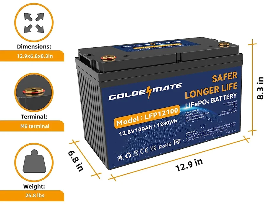 LiFePO4 Cells in Goldenmate 12V 100Ah Batteries -