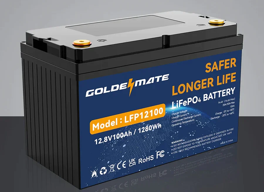 LiFePO4 Cells in Goldenmate 12V 100Ah Batteries