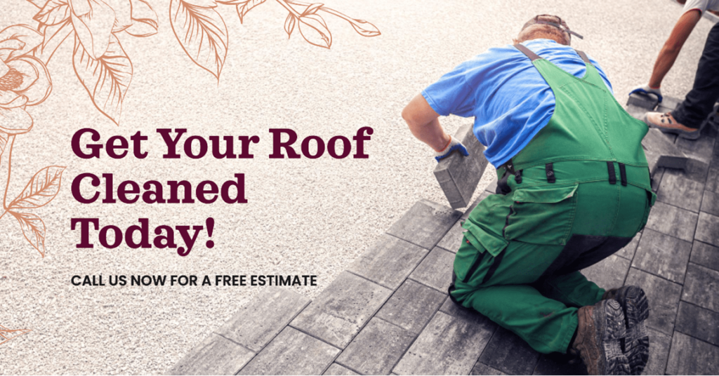 Roof Cleaning Contractor