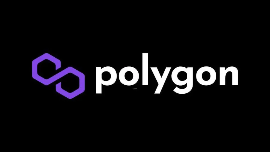Polygon Wallet vs. Competitors: A Comparative Analysis