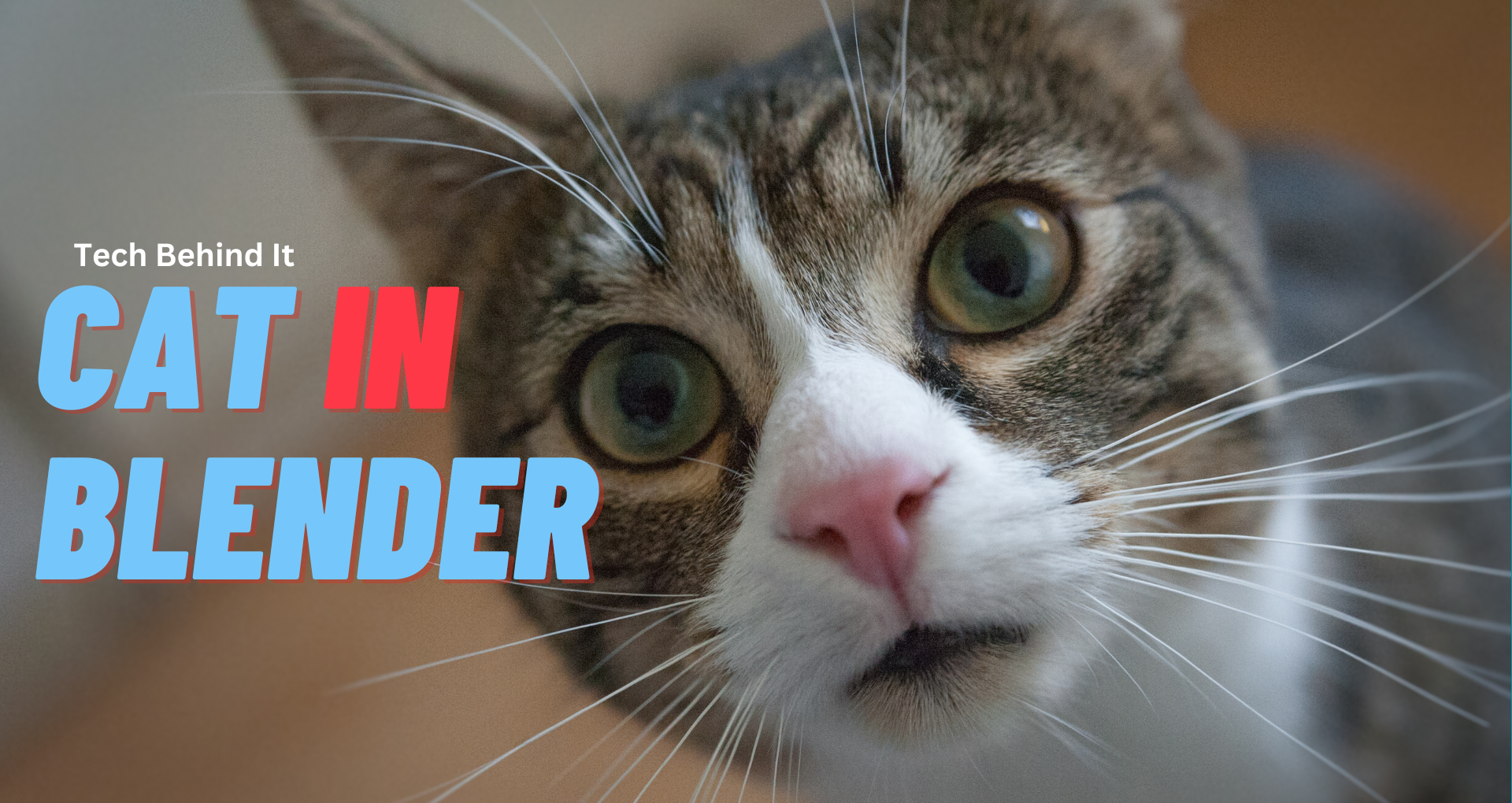 Cat in Blender Video Real