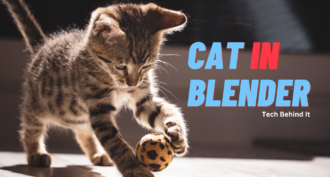 The Horrifying Incident Of Cat in Blender Video