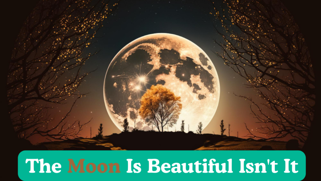 The Moon Is Beautiful, Isn't It