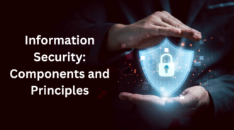 Information Security: Components and Principles