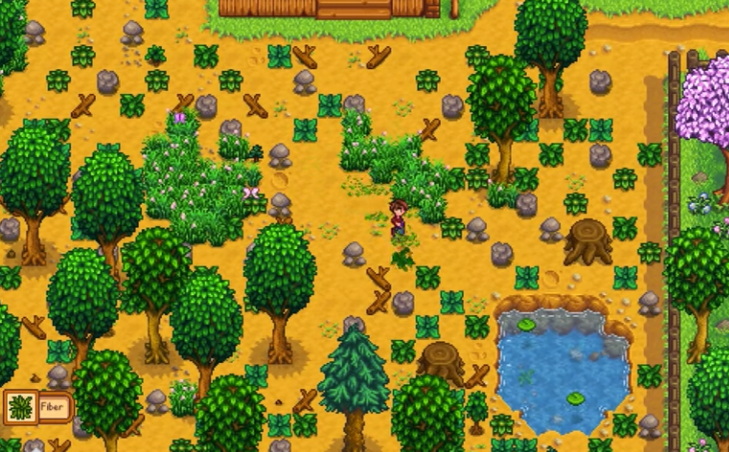 Stardew Valley