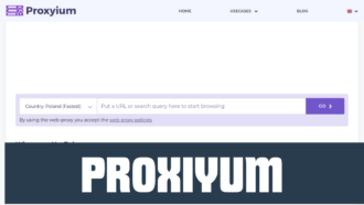 Understanding Proxy Servers with Proxiyum