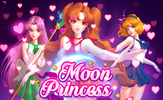 Moon Princess The Beacon of Hope for the Battle-Weary Nameless Knight