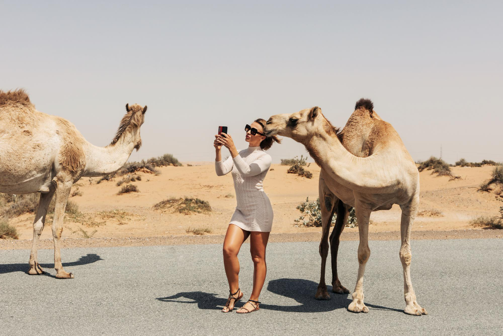 From Quad Biking to Falconry: The Best Activities on a Dubai Desert Safari