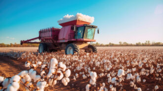 The Evolution of Cotton Harvesters: Past, Present, and Future