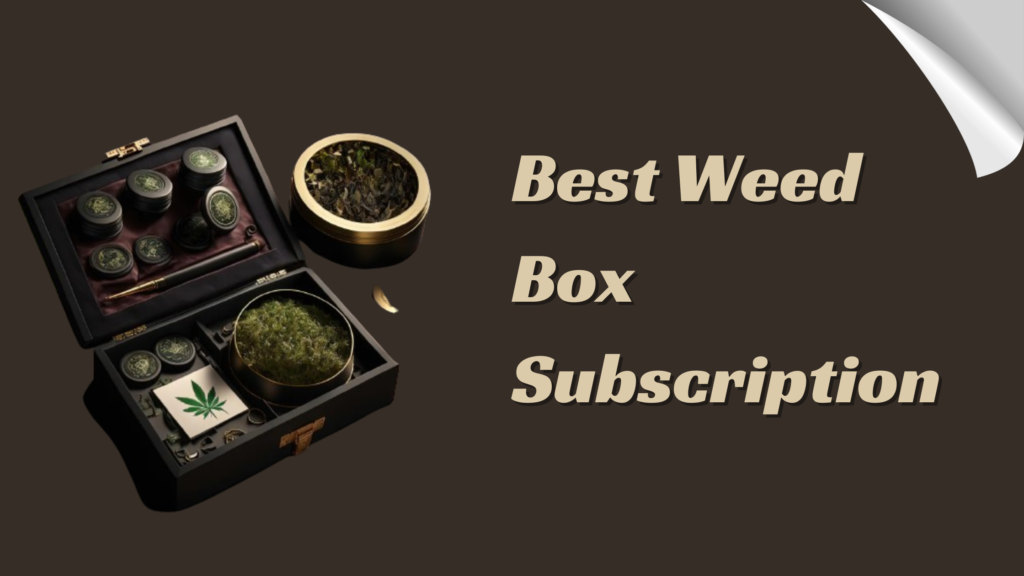 Best Weed Box Subscription