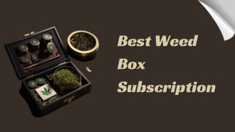 Key Tips for Choosing the Best Weed Box Subscription