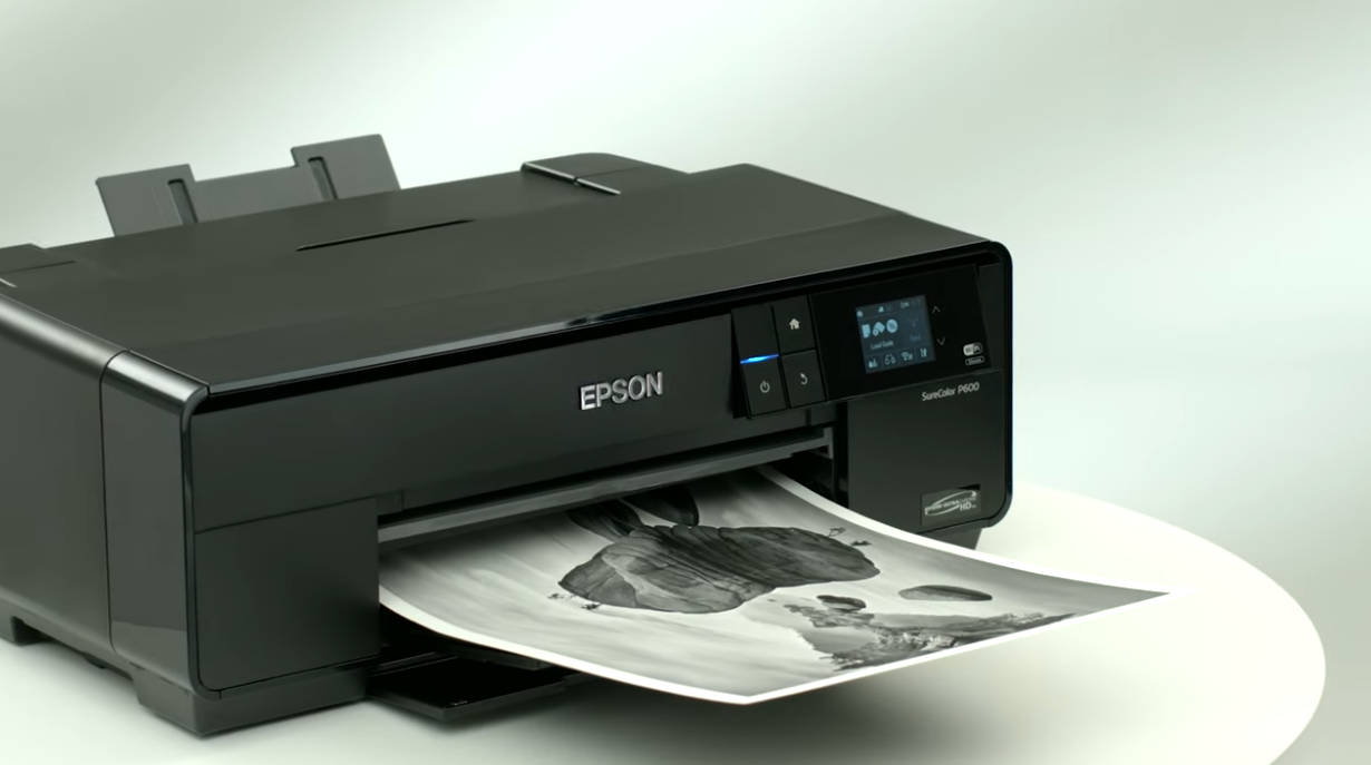 Epson C11CE21201 Printer