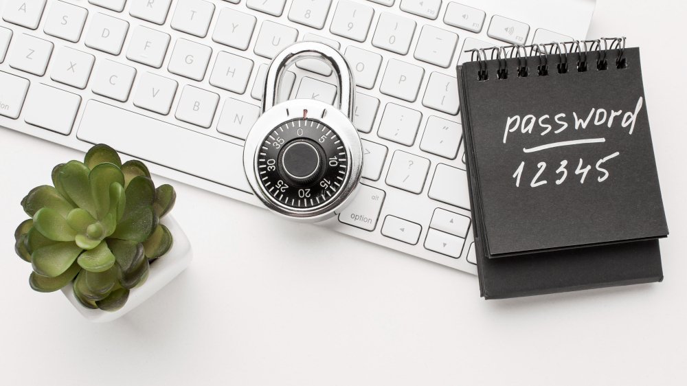 Is Investing in a Business Password Manager Worth It?