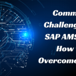Common Challenges in SAP AMS and How to Overcome Them