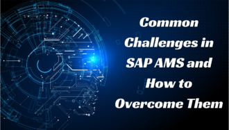 Common Challenges in SAP AMS and How to Overcome Them