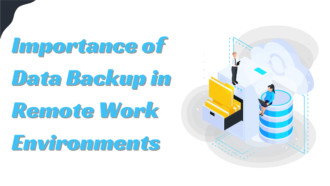 The Importance of Data Backup in Remote Work Environments