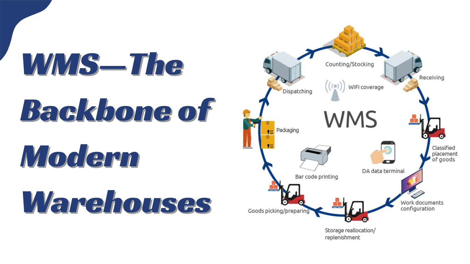 WMS—The Backbone of Modern Warehouses