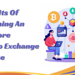 What Are The Key Benefits Of Obtaining An Offshore Crypto Exchange License In 2024?